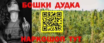 сатива Боровичи